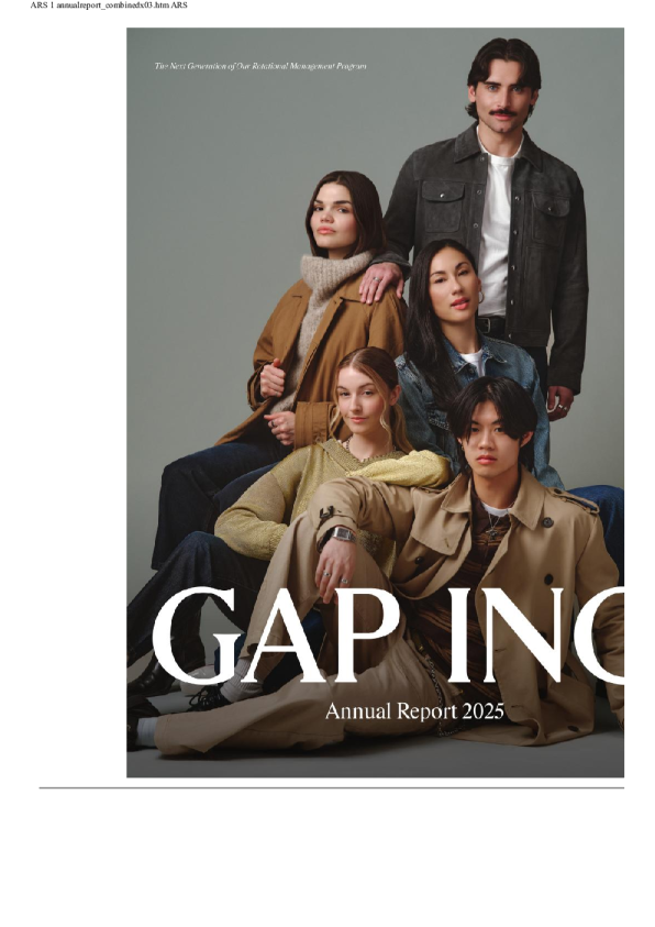 盖普 2025年度报告