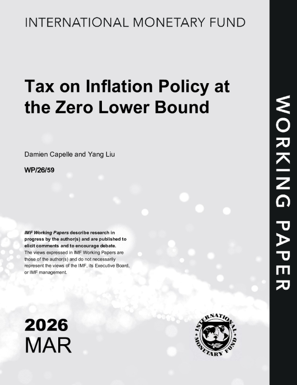 零下限通货膨胀政策税