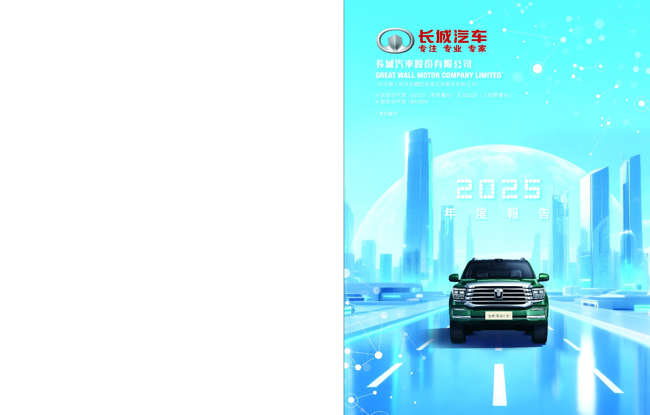 长城汽车2025年报