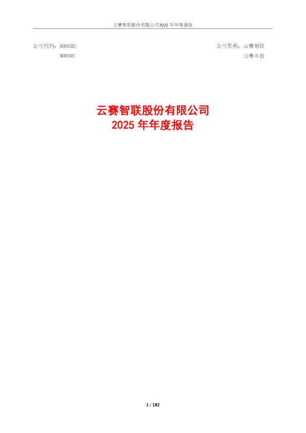 云赛智联：云赛智联2025年年度报告