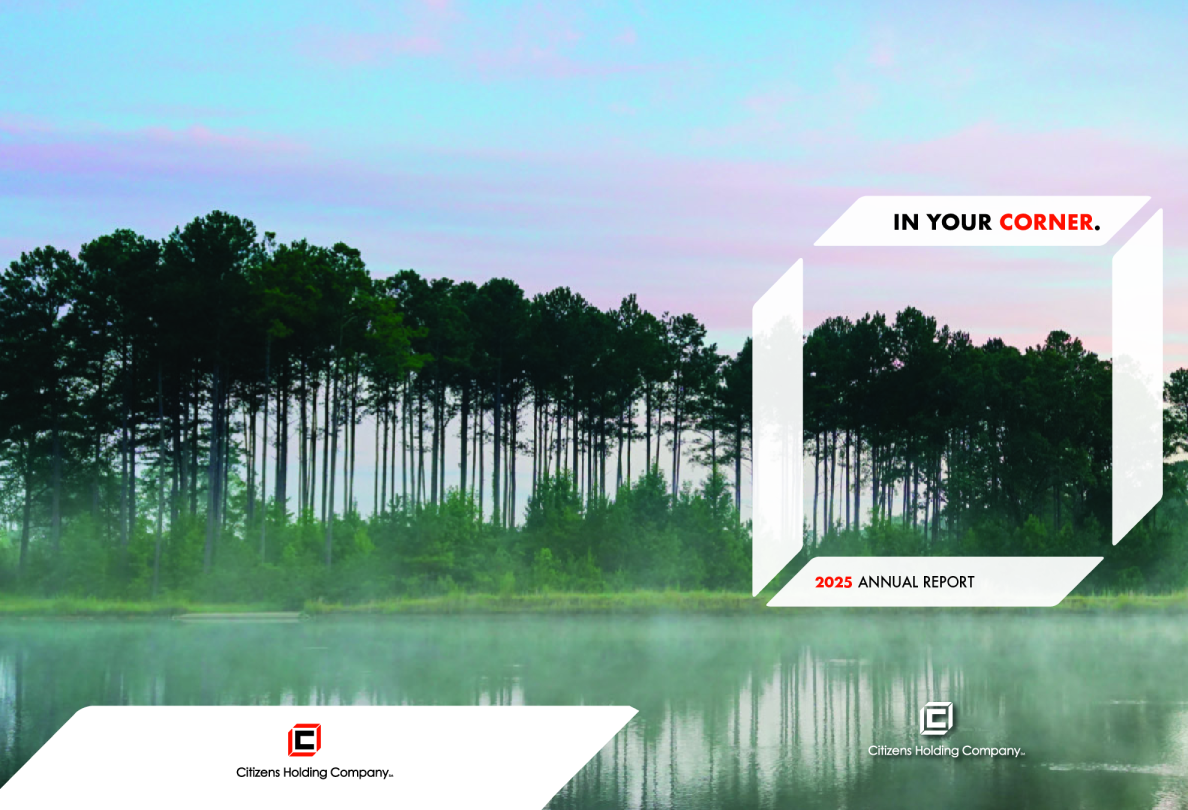 市民金融控股 2025年度报告