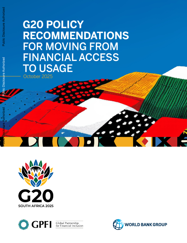 G20关于从金融获取转向使用的政策建议（英）2026