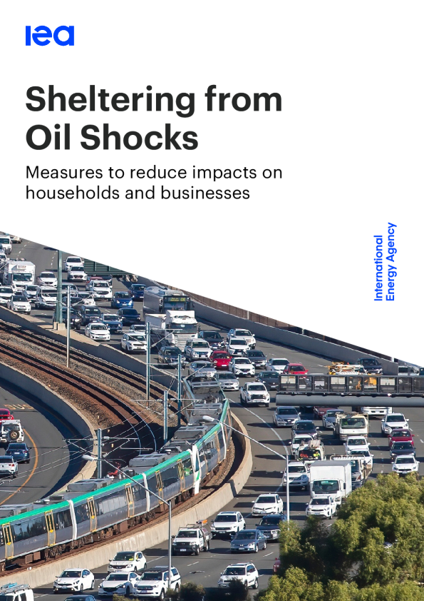 躲避石油冲击减少对家庭和企业影响的措施（英）2026