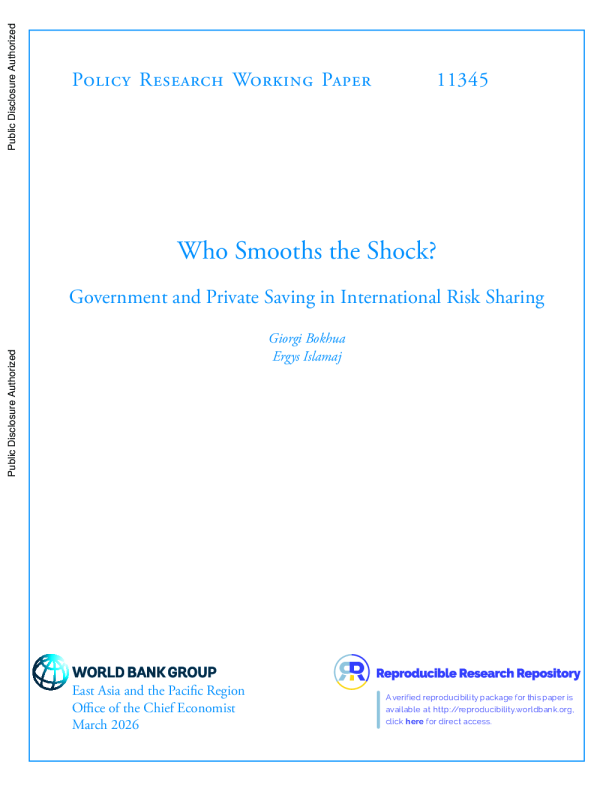 谁来缓解冲击？国际风险分担中的政府与私人储蓄
