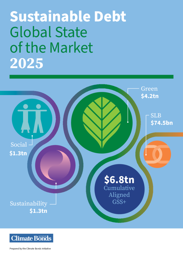 可持续债务：2025年全球市场状况