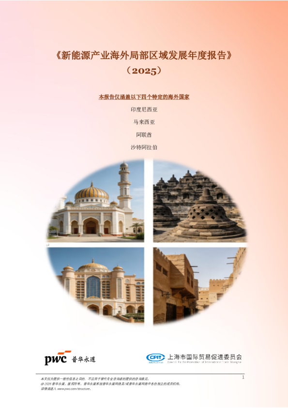 新能源产业海外局部区域发展年度报告（2025）