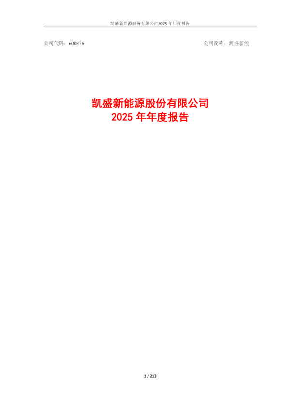 凯盛新能：凯盛新能2025年年度报告