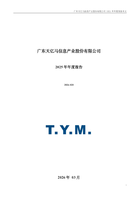 天亿马：2025年年度报告