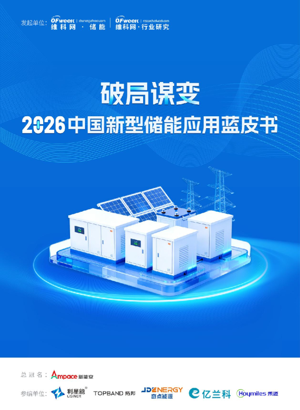 2026中国新型储能应用蓝皮书-破局谋变