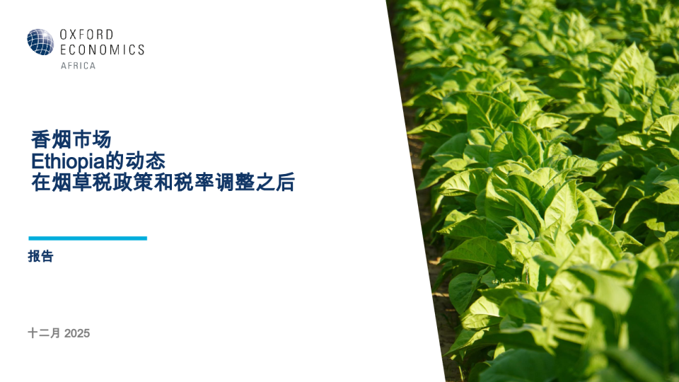香烟市场Ethiopia的动态：在烟草税政策和税率调整之后