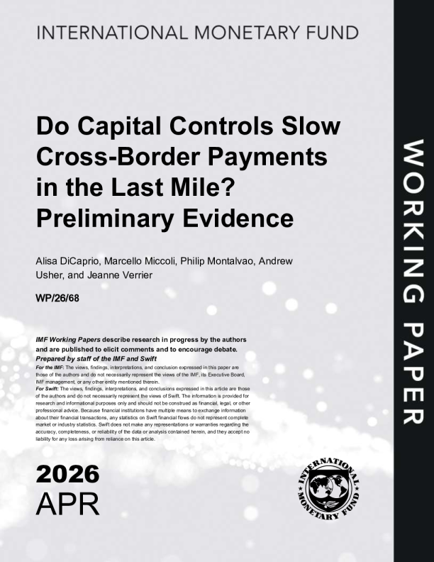 资本管制是否会减缓最后一英里的跨境支付？初步证据（英）