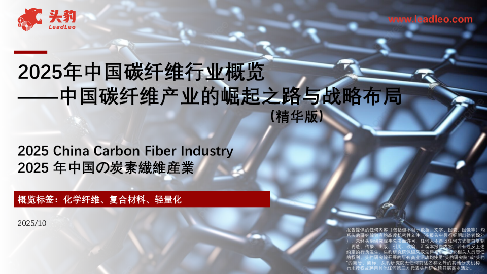 2025年中国碳纤维行业概览中国碳纤维产业的崛起之路与战略布局（精华版）
