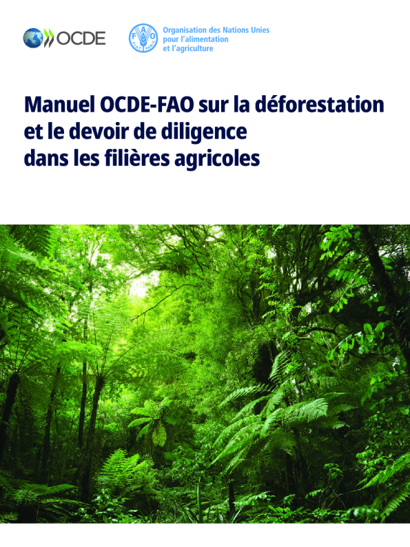 Manuel OCDE-粮农组织关于农业公司的造林和尽职调查