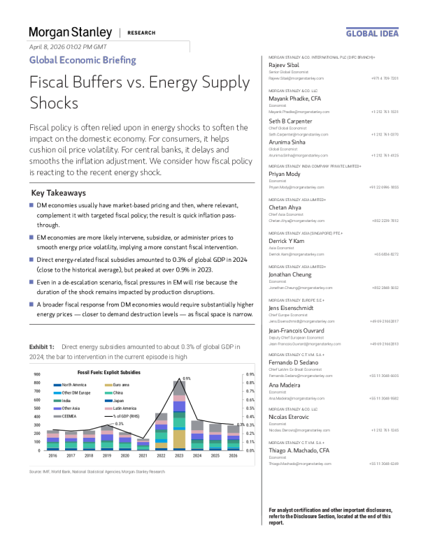 财政缓冲与能源供应冲击