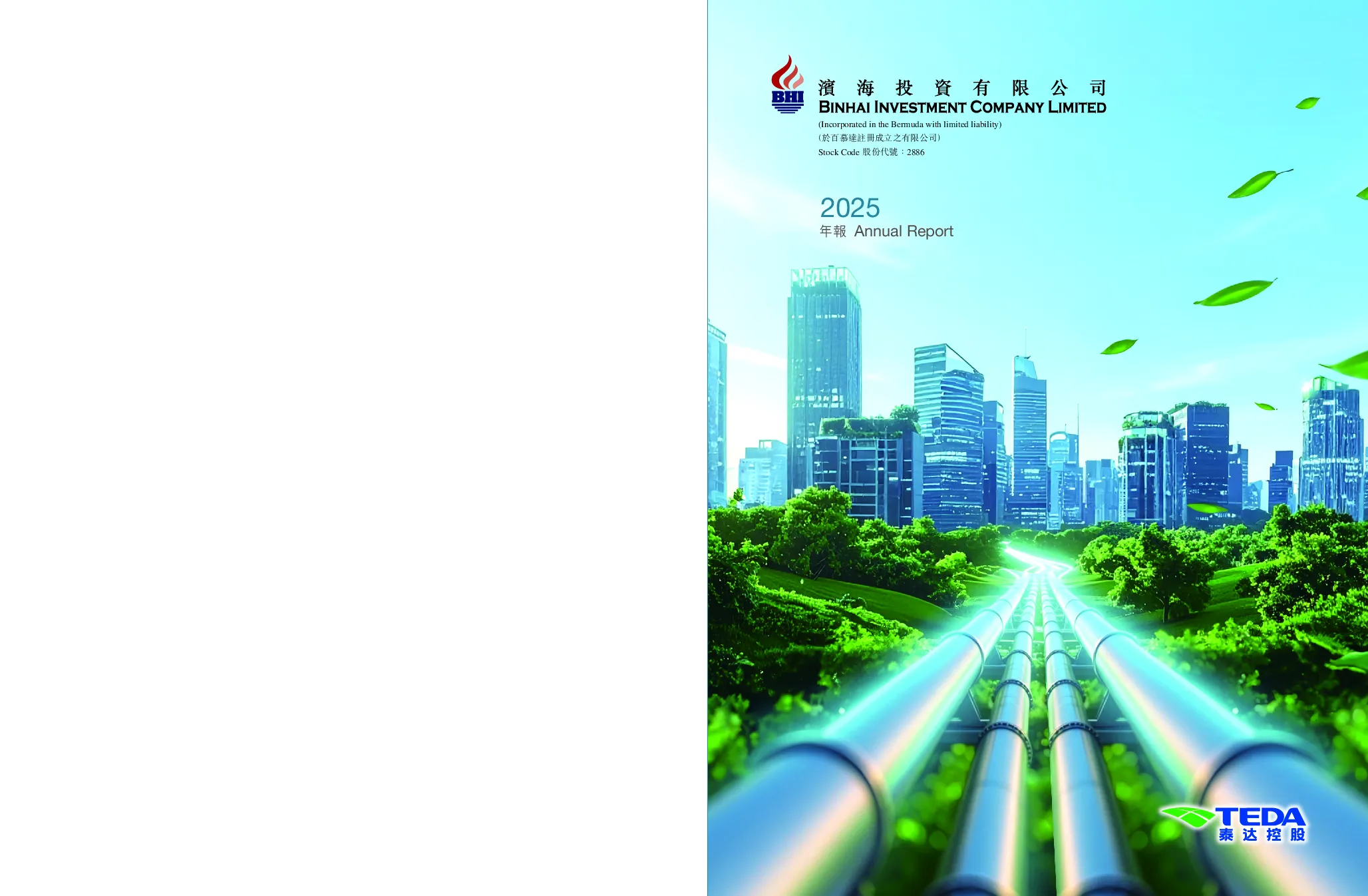 滨海投资年报2025