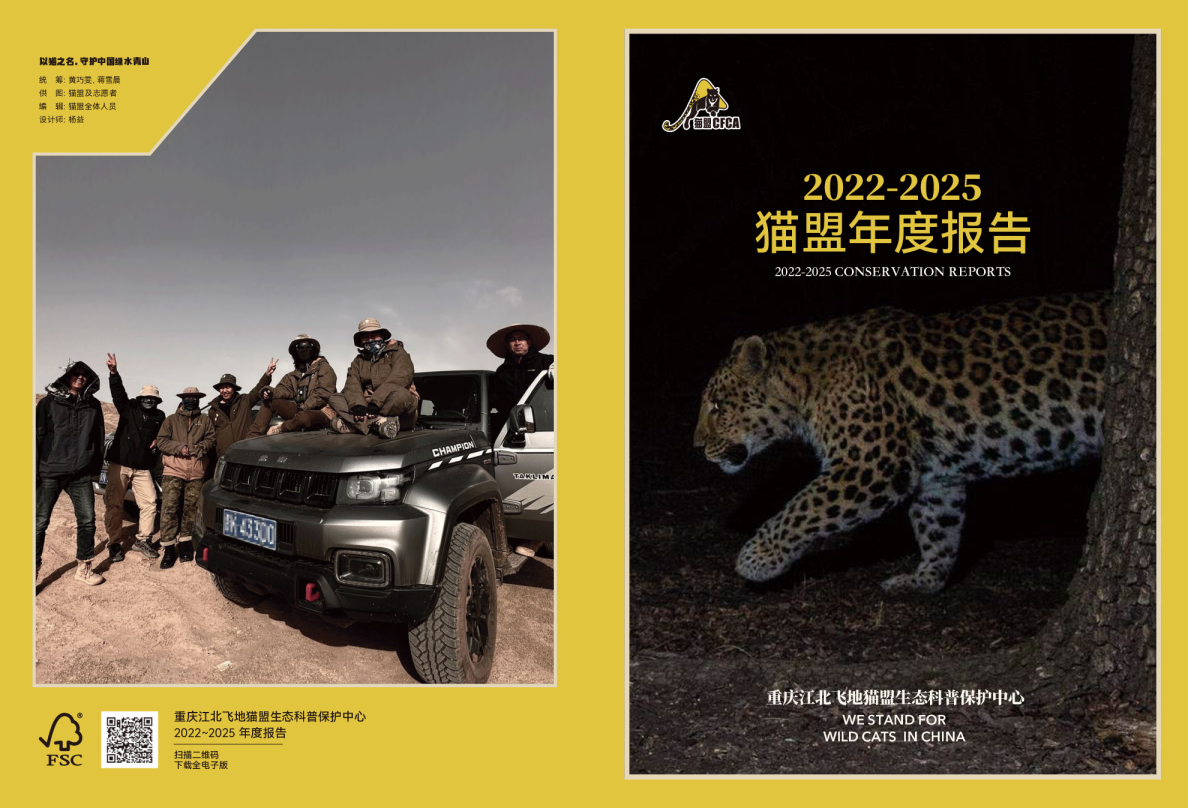 中国野猫2022-2025年保护报告