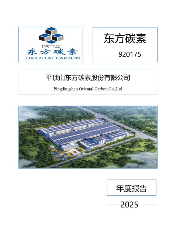 东方碳素：2025年年度报告
