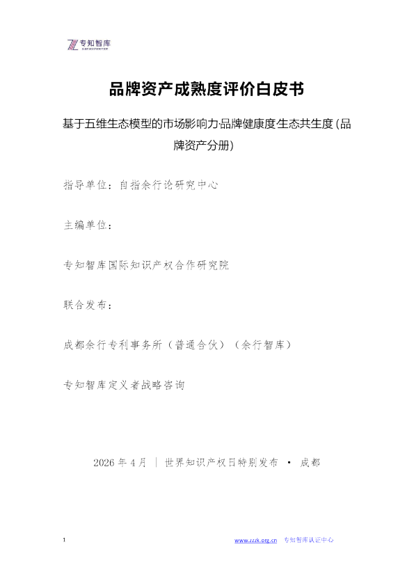 品牌资产成熟度评价白皮书