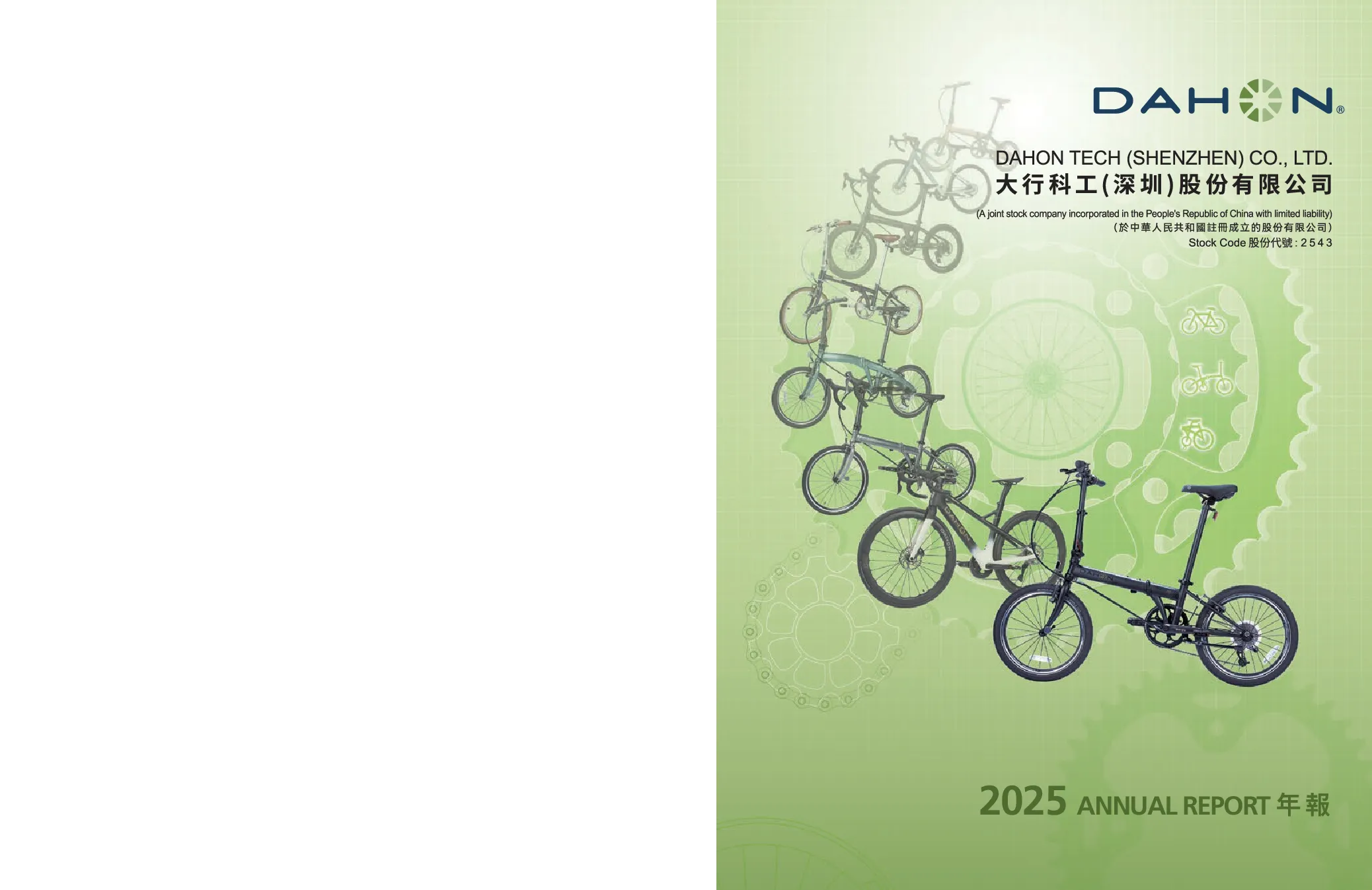 大行科工2025 年报