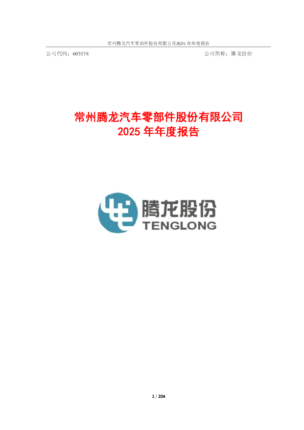 腾龙股份：腾龙股份2025年年度报告
