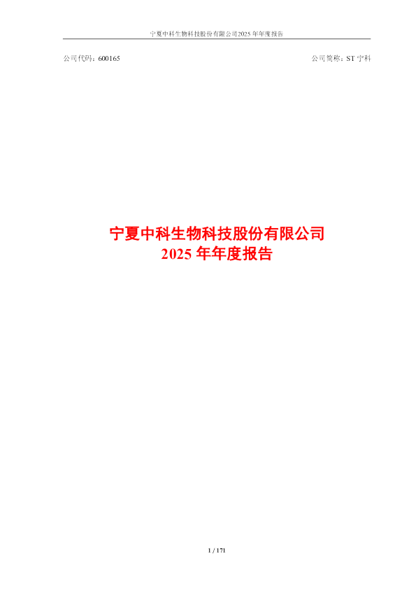 ST宁科：ST宁科2025年年度报告