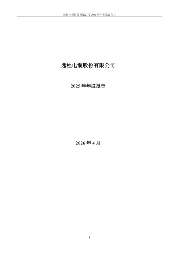 远程股份：2025年年度报告