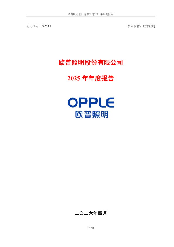 欧普照明：欧普照明股份有限公司2025年年度报告