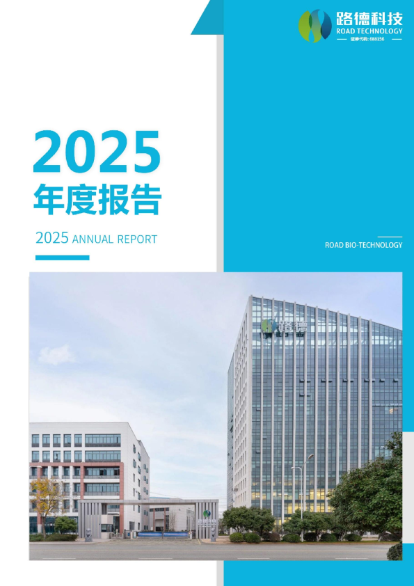 路德科技：2025年年度报告