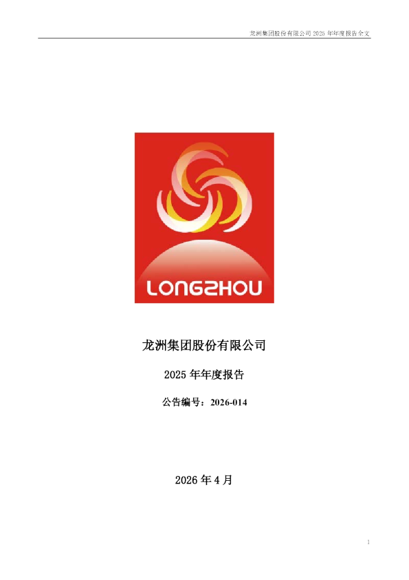 龙洲股份：2025年年度报告