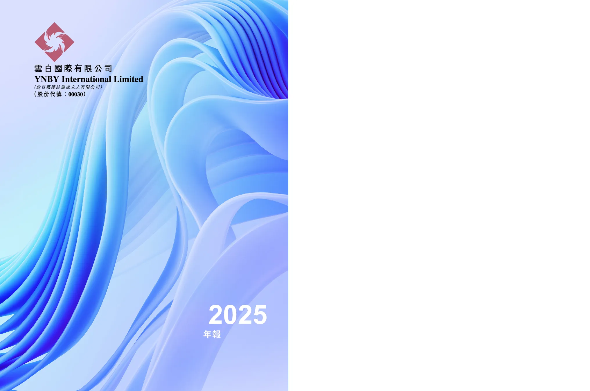 云白国际年报 2025