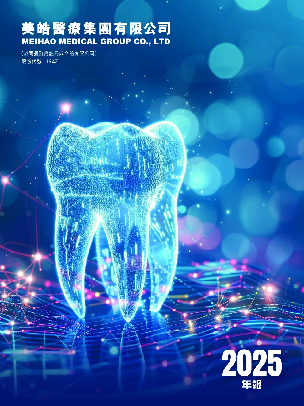 美皓集团2025年年报