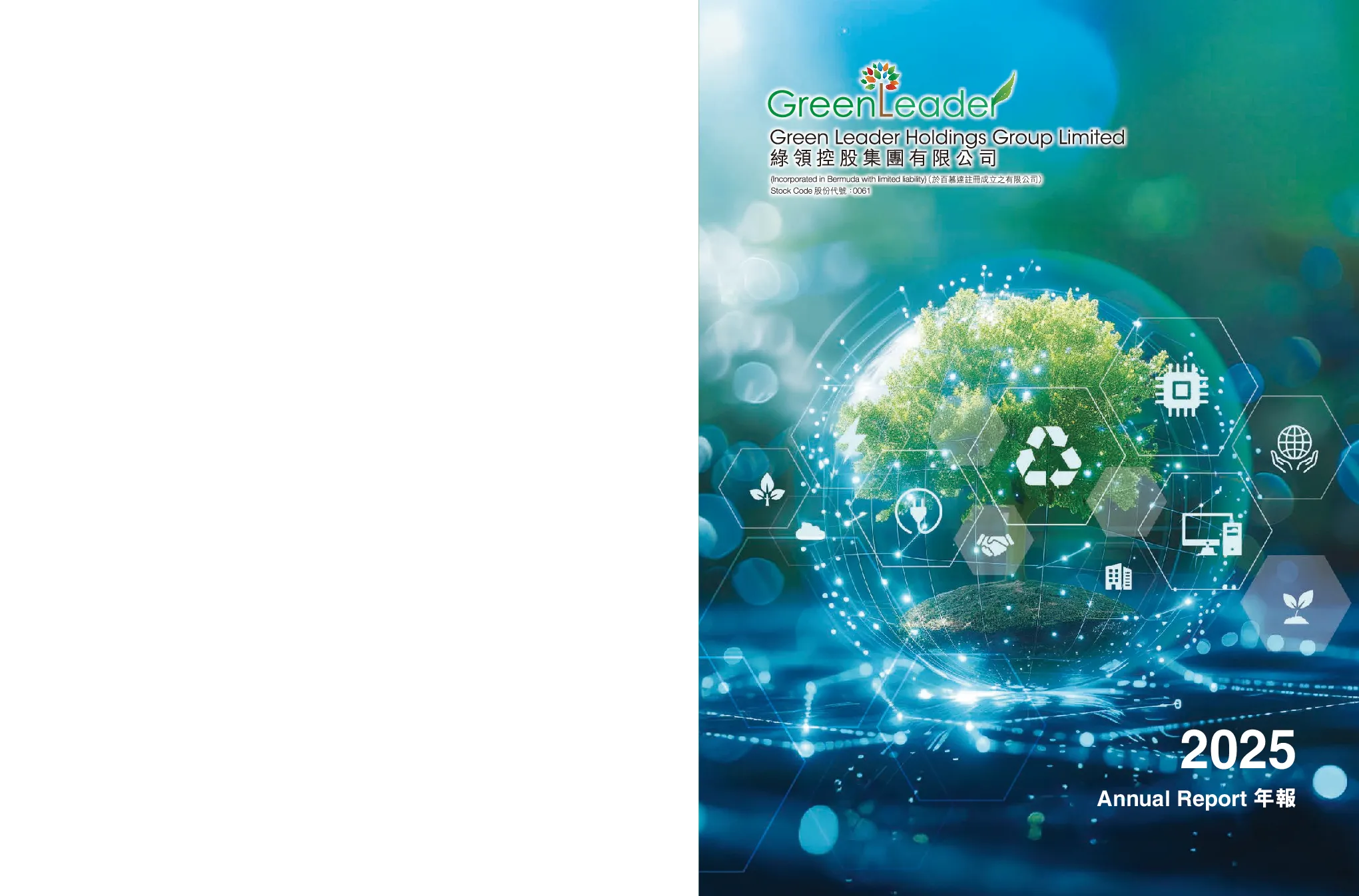 绿领控股2025年年报