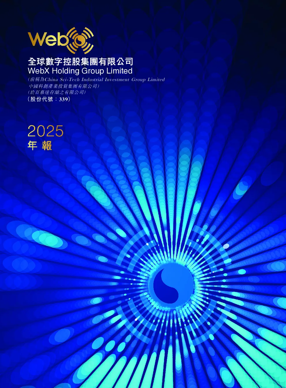 全球数字控股年报 2025