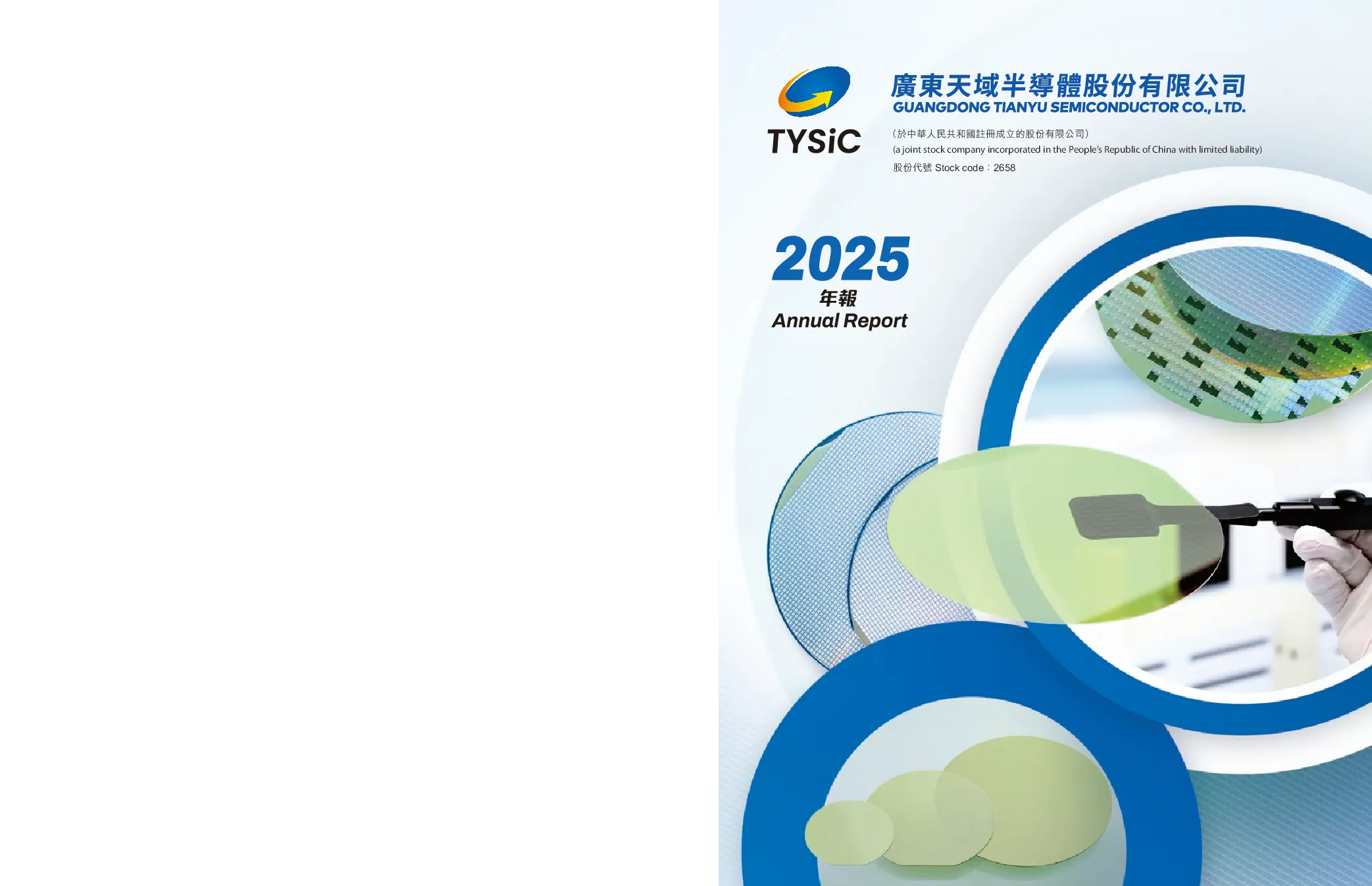 天域半导体2025年度报告