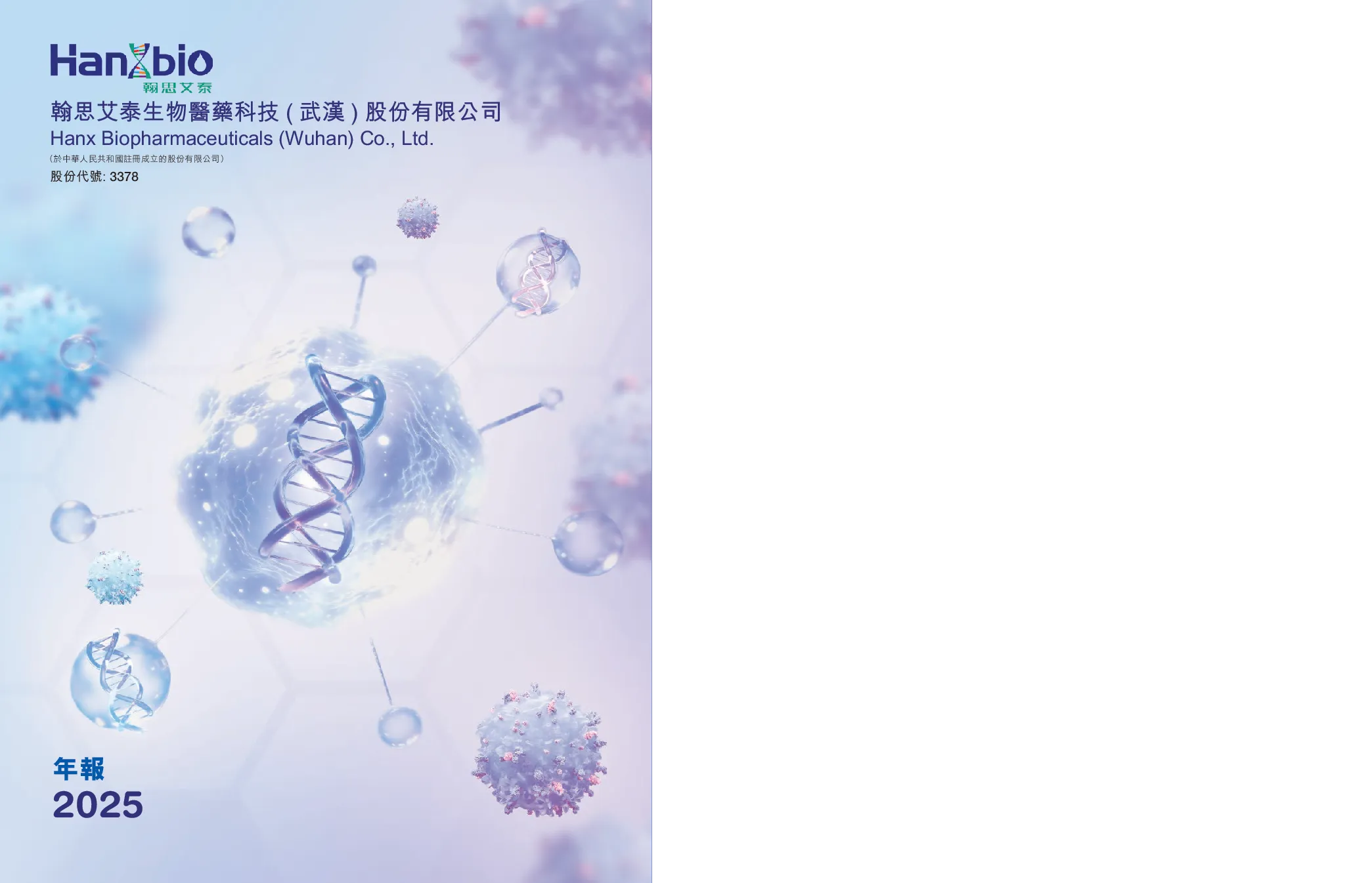 翰思艾泰-B2025 年度报告