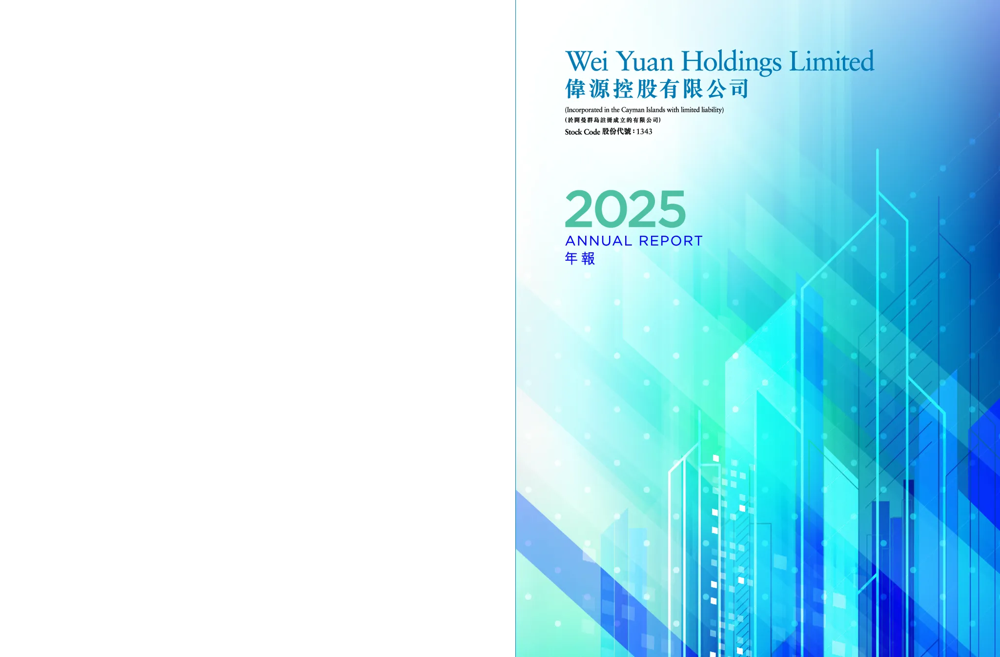 伟源控股2025年报