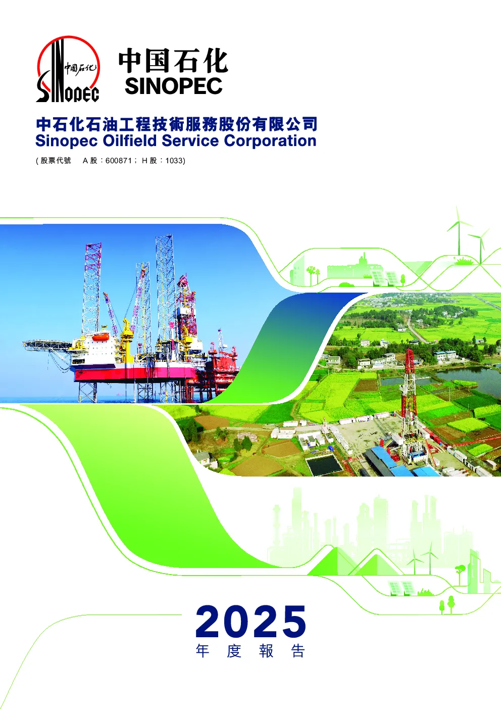 中石化油服2025年度报告