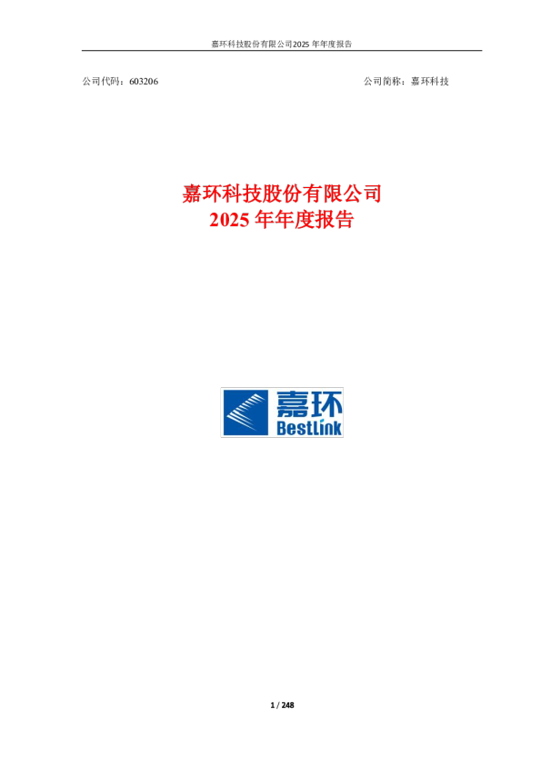 嘉环科技：2025年年度报告