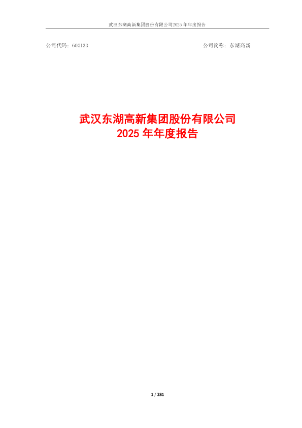 东湖高新：2025年年度报告