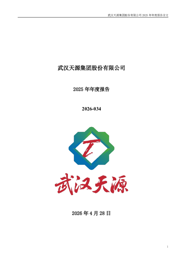 武汉天源：2025年年度报告