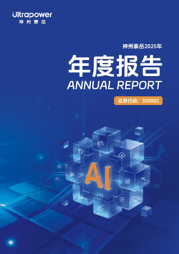 神州泰岳：2025年年度报告