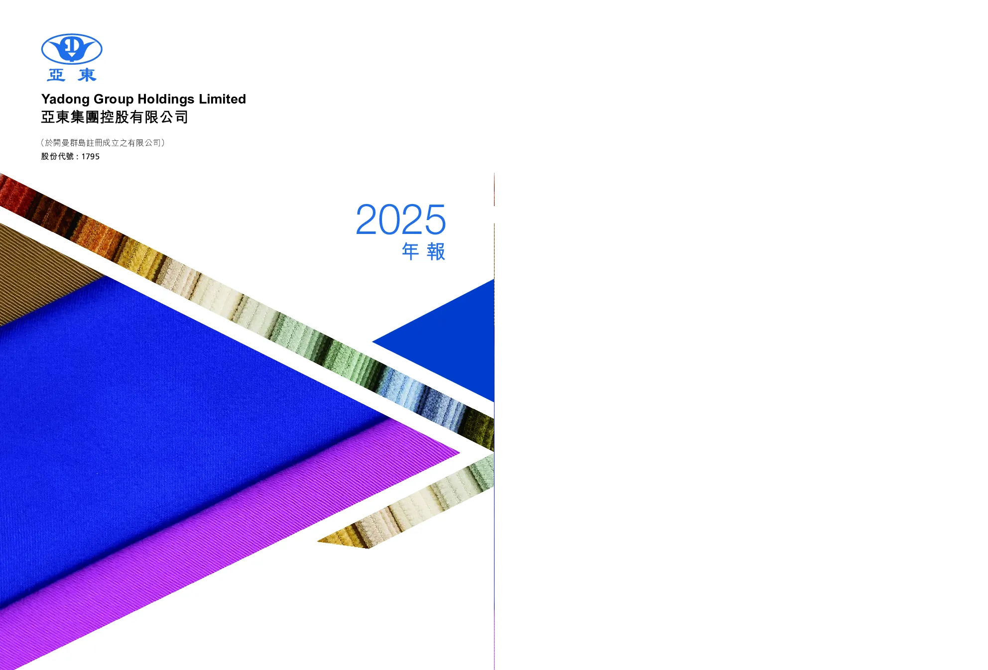 亚东集团年报2025