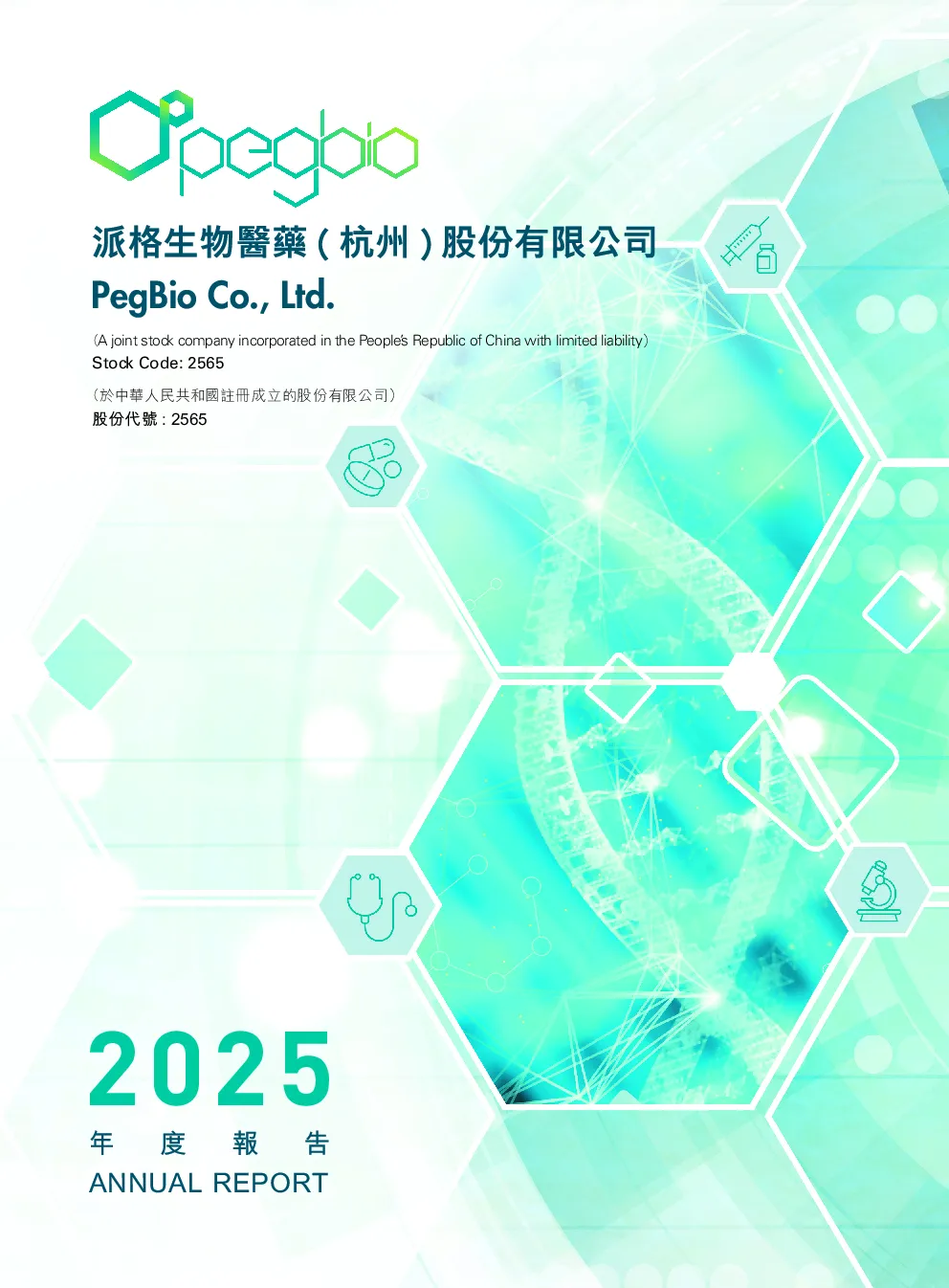 派格生物医药-B2025年度报告