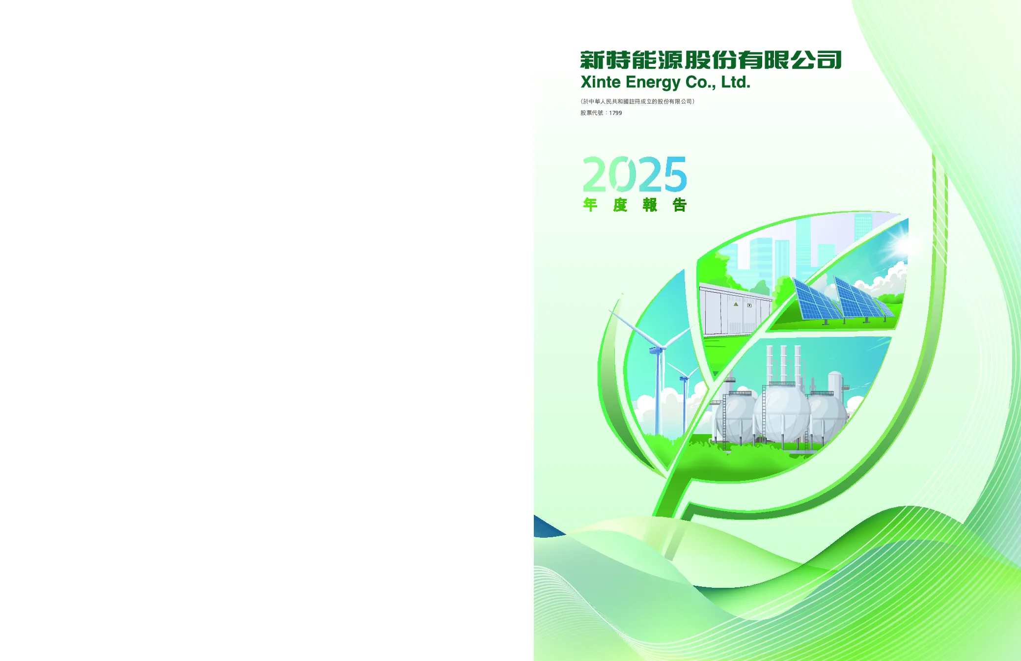 新特能源2025年度报告