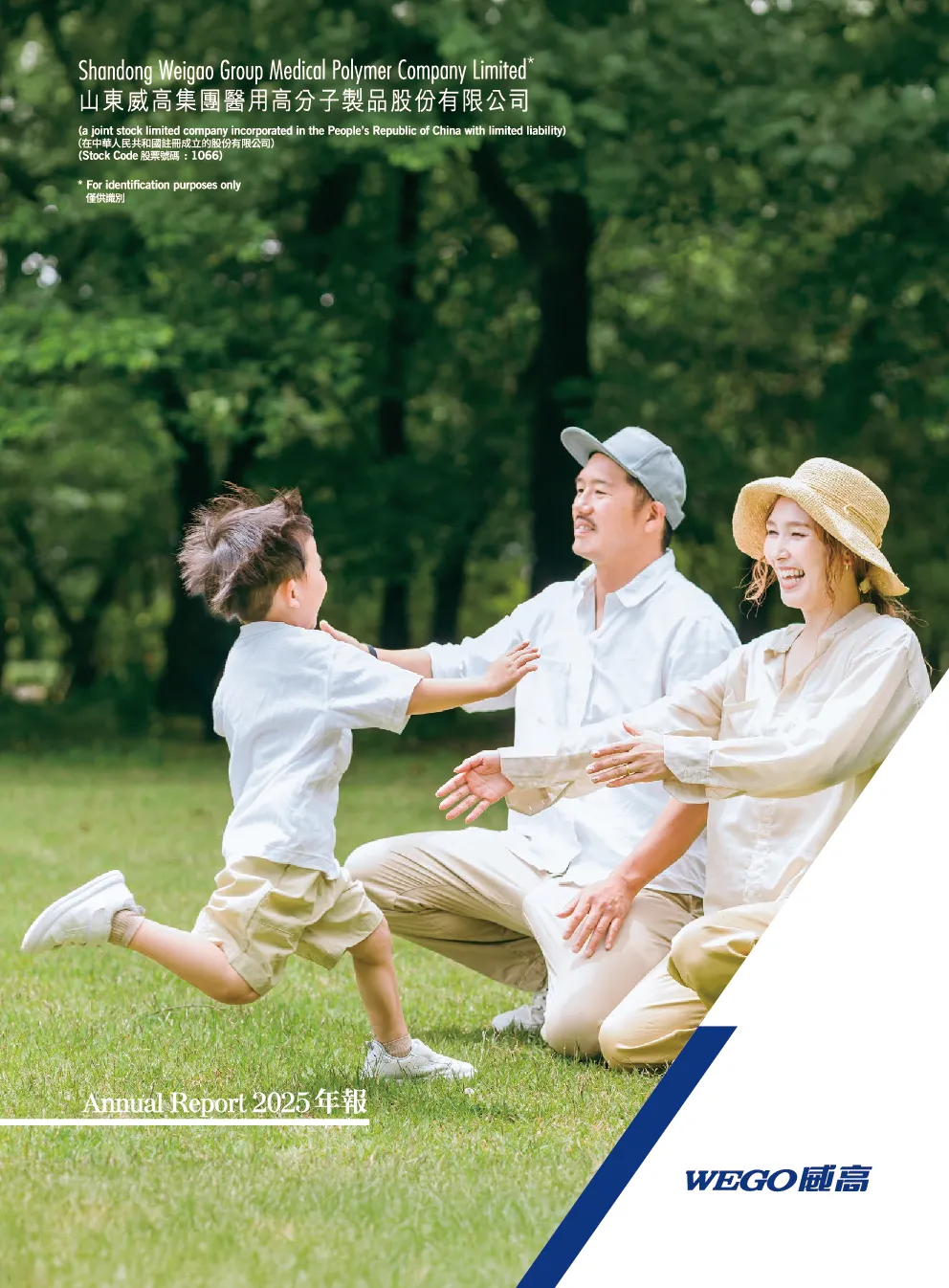 威高股份2025年报