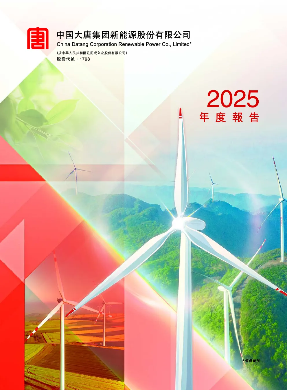 大唐新能源2025年度报告