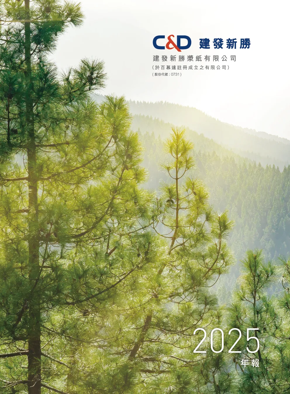 建发新胜年度报告 2025