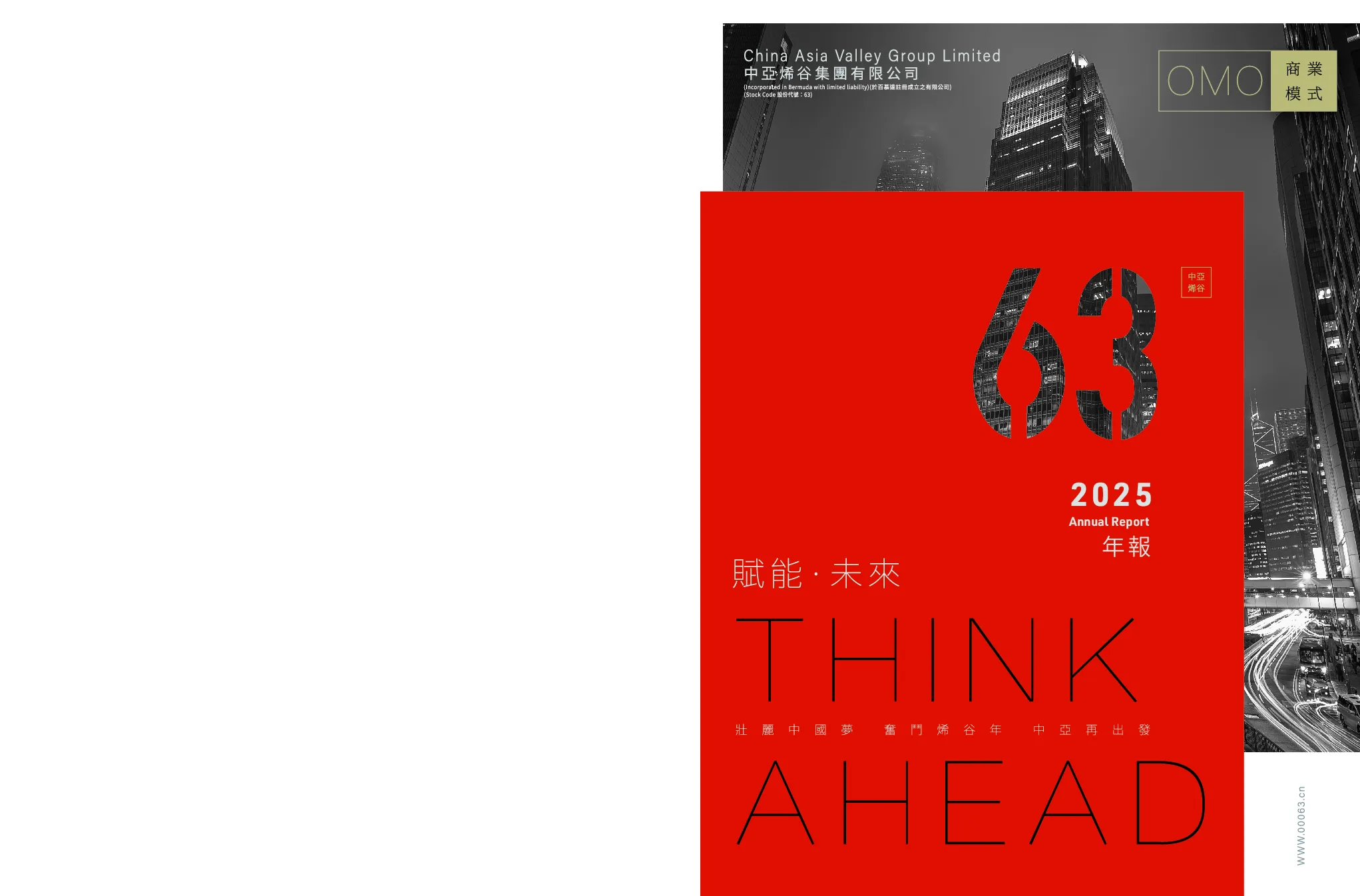 中亚烯谷集团二零二五年年报