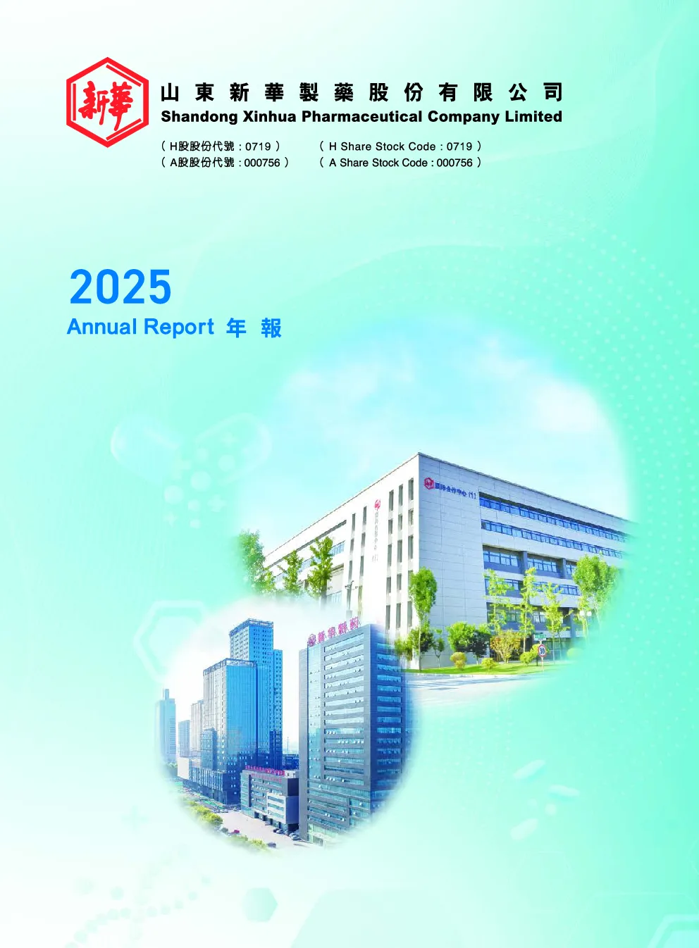 山东新华制药股份2025年年报