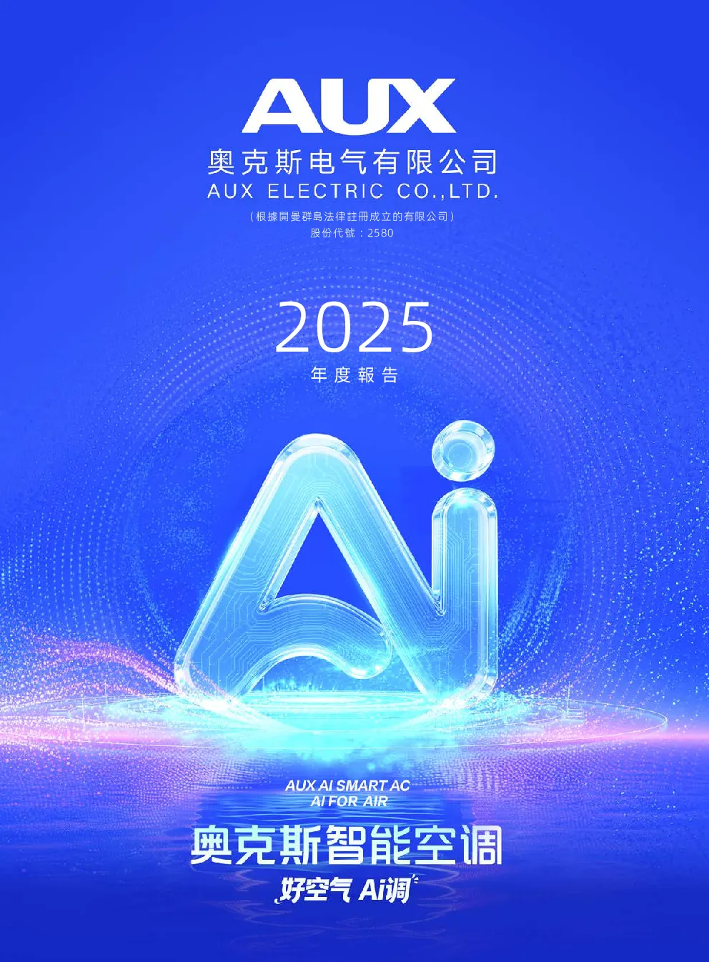 奥克斯电气2025年度报告